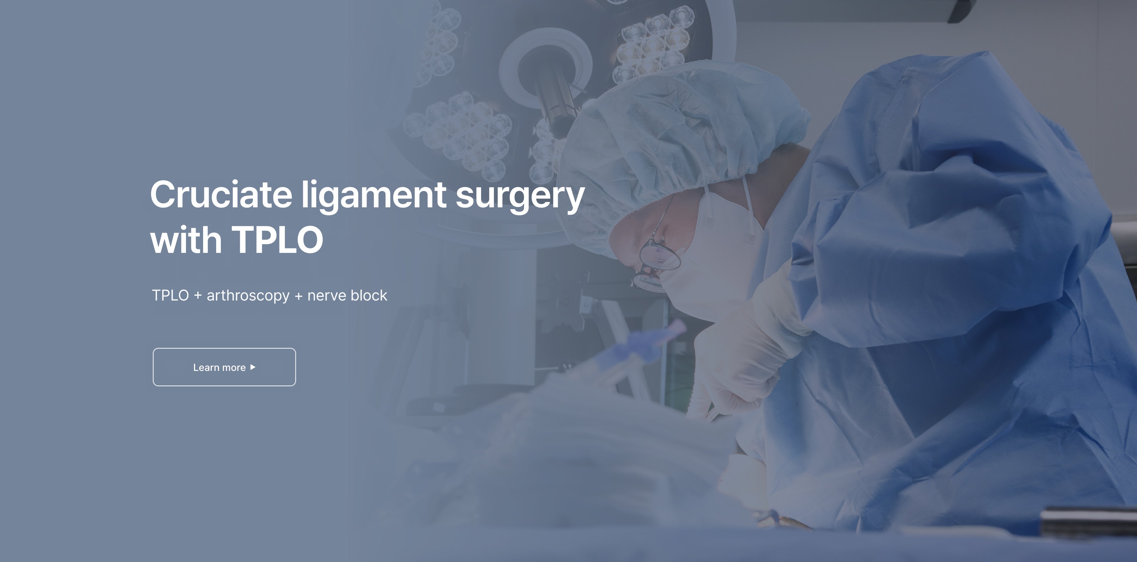 Cruciate ligament surgery with TPLO — TPLO, arthroscopy and nerve block